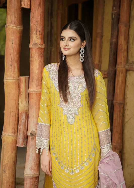 Pakistani Suit